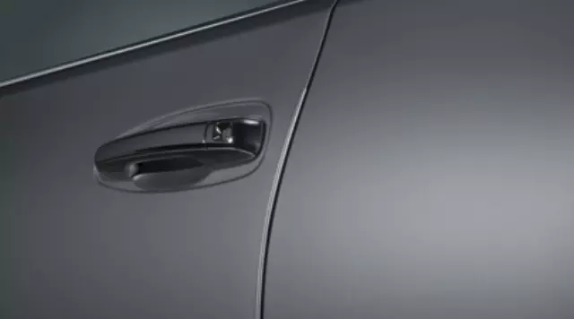 2014-2020 Lexus GX460 - Door Edge Guards, Nebula Gray Pearl - Lexus (PT936-60120-20)
