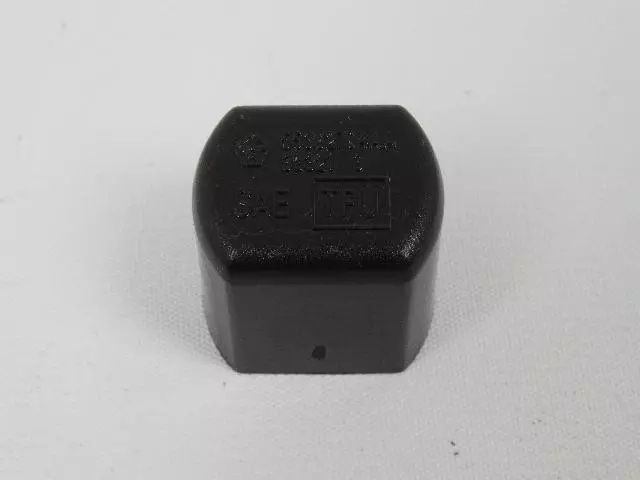 Tailgate Pivot Bushing - Mopar (55362794AA)