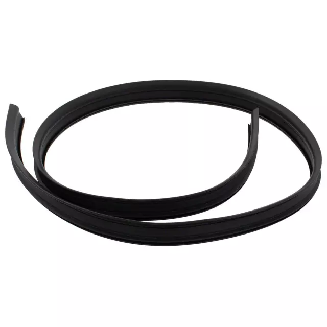 FT4Z58503A22D - Body: Side Weather-strip for Ford: Edge Image
