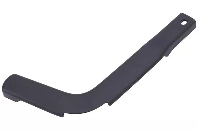Ebony 3rd Row Seat Cushion Side Cover - GM (25797674)