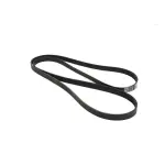 53010150 - : Accessory Drive Belt for Mopar Image