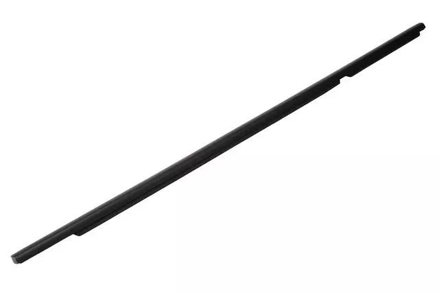 Passenger Side Rear Door Window Outer Sealing Strip - GM (95264199)