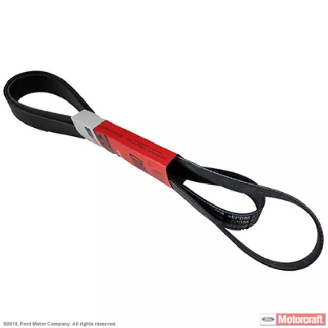 2007-2012 Ford Mustang - Serpentine Belt - Ford (7R3Z-8620-A)