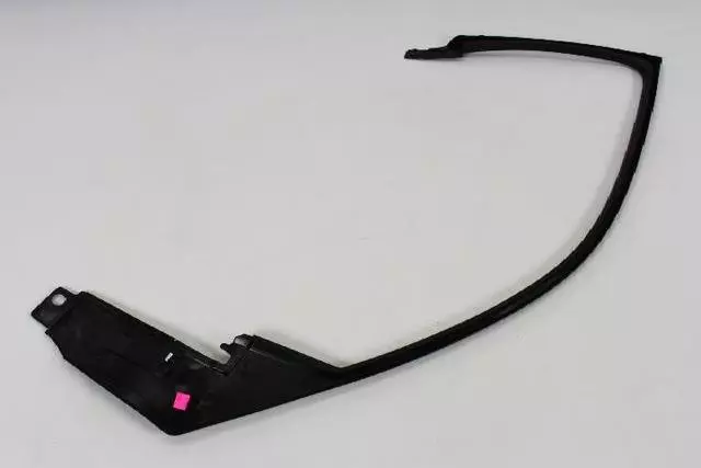 Front Door Molding, Right - Mopar (1TT98DX9AB)