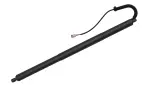 615081 - : Liftgate Lift Support for Tuff Support Image