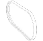 29938796 - : V-Ribbed Belt for Mercedes-Benz Image