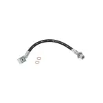 19536912 - : Hose for GM Image