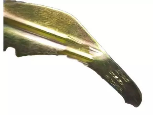 Parking Brake Lever - Ford (EOTZ-2A638-A)