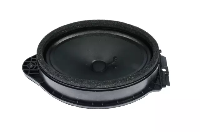 22753373 - Body: Front Dr Speaker for GM Image