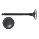 EM4501 - : Engine Exhaust Valve for Enginetech Image