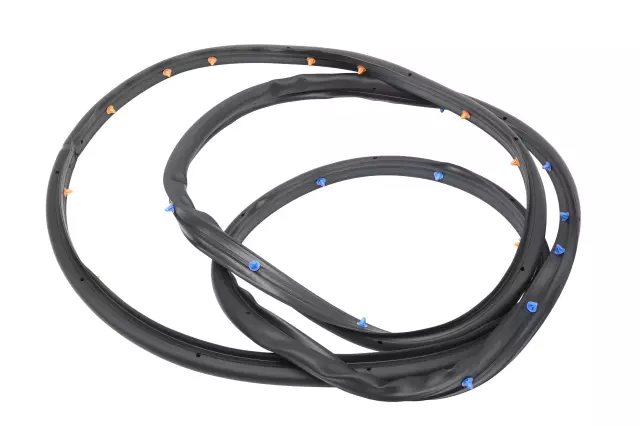 Passenger Side Rear Door Weatherstrip - GM (95021343)