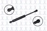86364 - : Hood Lift Support for Focus Auto Parts Image