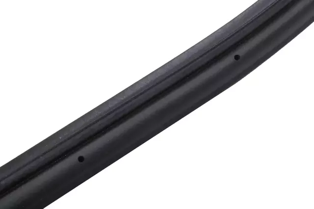 Deck Lid Weatherstrip - GM (15908043)