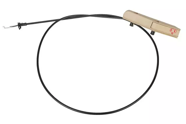 20995852 - Body: Handle, Inside for Cadillac: CTS Image