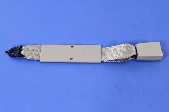 1XE661L1AA - Restraints: Buckle Assy-s/belt Buckle Assy for Mopar Image