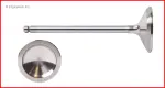 V4371S - : Engine Exhaust Valve for Enginetech Image
