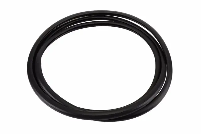 22815954 - Body: Sunroof Glass Seal for GM Image
