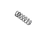 68507794AA - : Front Coil Spring, Right for Jeep: Gladiator Image