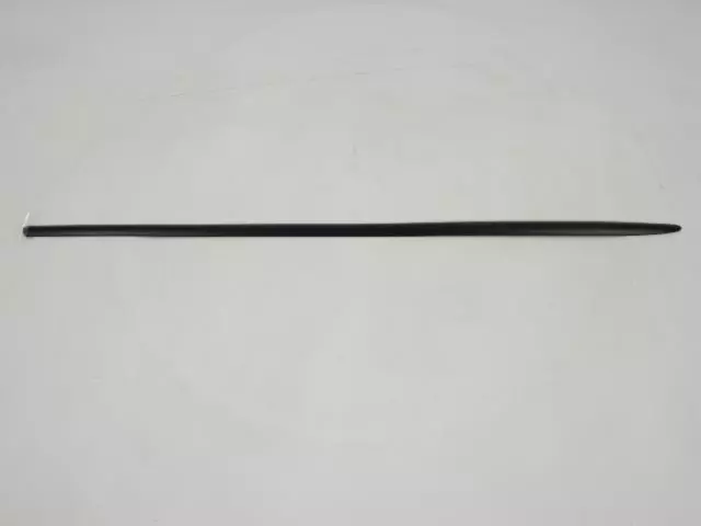 ZH59TZZAA - Body: Body Side Molding for Chrysler: 200, Sebring Image