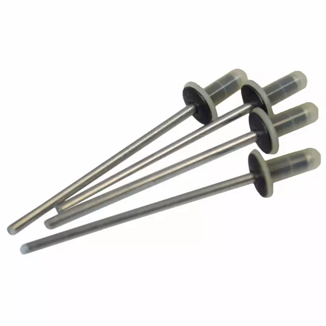 W713819S900 - : Roof Molding Rivet for Ford: F-150 | Lincoln: Continental Image