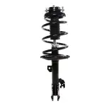 816769 - : PRT 816769 Suspension Strut and Coil Spring Assembly for PRT PERFORMANCE RIDE Image