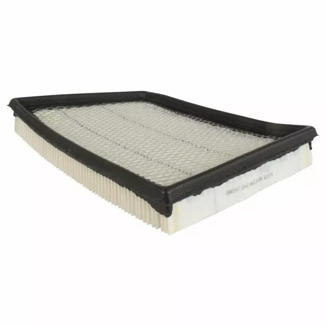 Element Assembly Air Cleaner - Ford (QFA57)