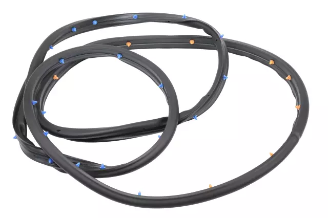 Passenger Side Rear Door Weatherstrip - GM (95021343)