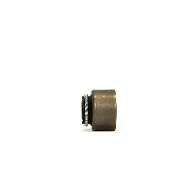 Valve Seals - Honda (12210-PZ1-004)