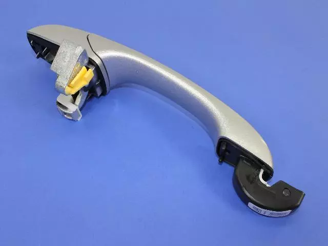 Handle, Outside - Mopar (1NA53WS2AF)