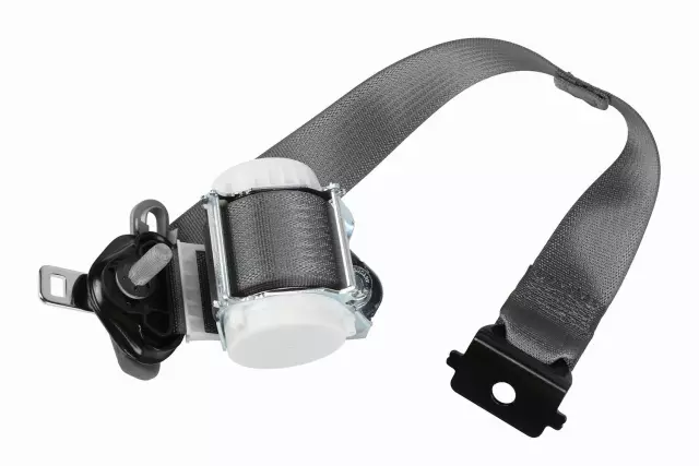 19303265 - Electrical: Outer Belt Assembly for Cadillac: Escalade | Chevrolet: Tahoe | GMC: Yukon Image