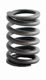 ERV991 - : Engine Valve Spring for Enginetech Image