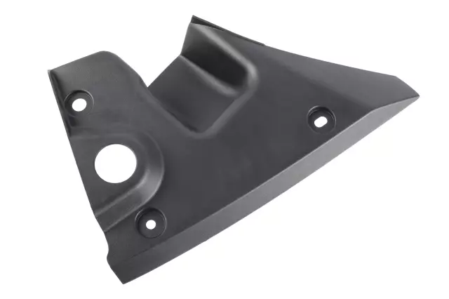 Driver Side Tail Lamp Closeout Filler - GM (20945029)