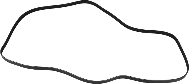 117206N200 - : Serpentine Belt for Nissan: Altima, Sentra Image
