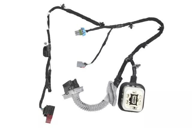 Rear Driver Side Door Wiring Harness - GM (22973934)