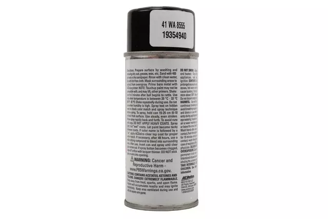 Black (WA8555) Touch-Up Paint - 5 oz Spray - GM (19354940)