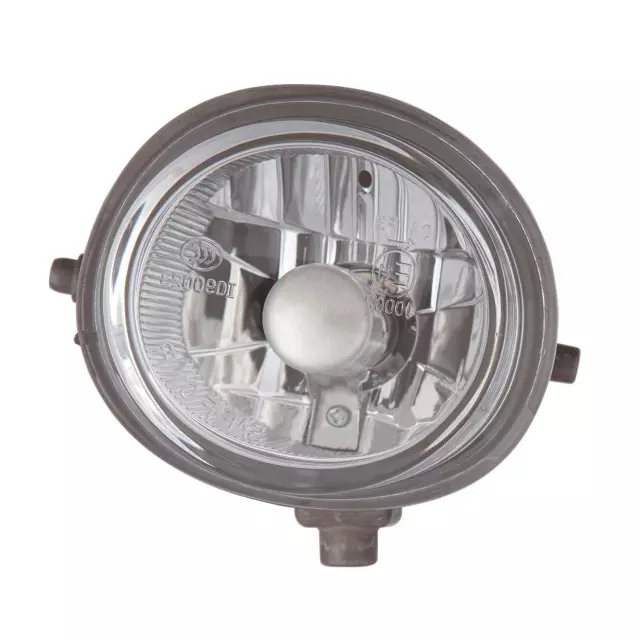 3162022LAC - : Fog Light Assembly for Maxzone Vehicle Lighting Image