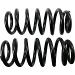 81747 - : Coil Spring Set for Moog Image