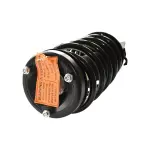 883039 - : 01-05 BMW X5 (3.0) Suspension Strut and Coil Spring Assembly  - Front Right for GSP Image