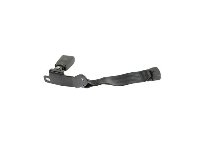 Rear Seat Buckle - Mopar (6BY64LXHAA)