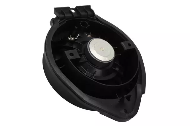 Radio Rear Side Door Speaker - GM (26216361)