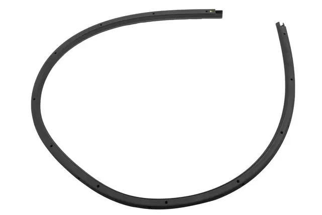 20991622 - Body: Rear Weather-strip for GM Image