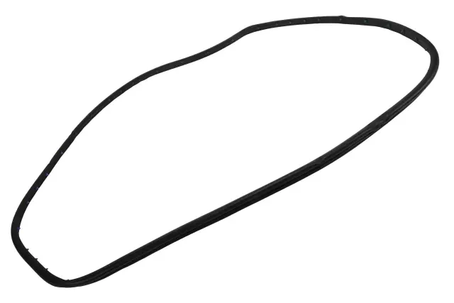 Rear Driver Side Door Weatherstrip - GM (84576686)