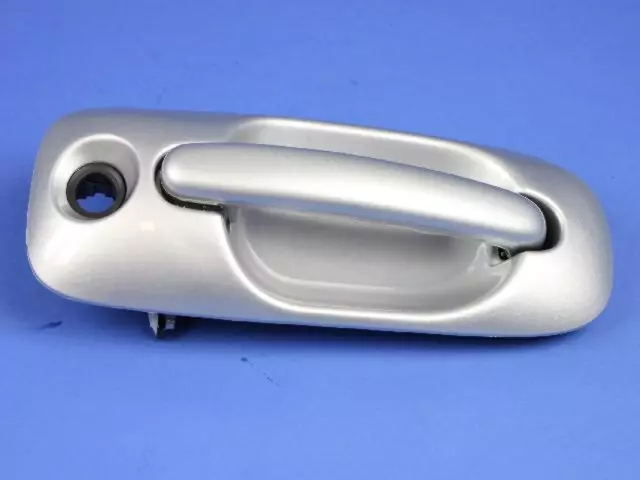 RP71WS2AC - Body: Handle, Outside for Chrysler: Town &amp; Country, Voyager | Dodge: Caravan, Grand Caravan Image