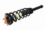 882404 - : 01-06 Lexus LS430 Suspension Strut and Coil Spring Assembly  - Rear Left for GSP Image