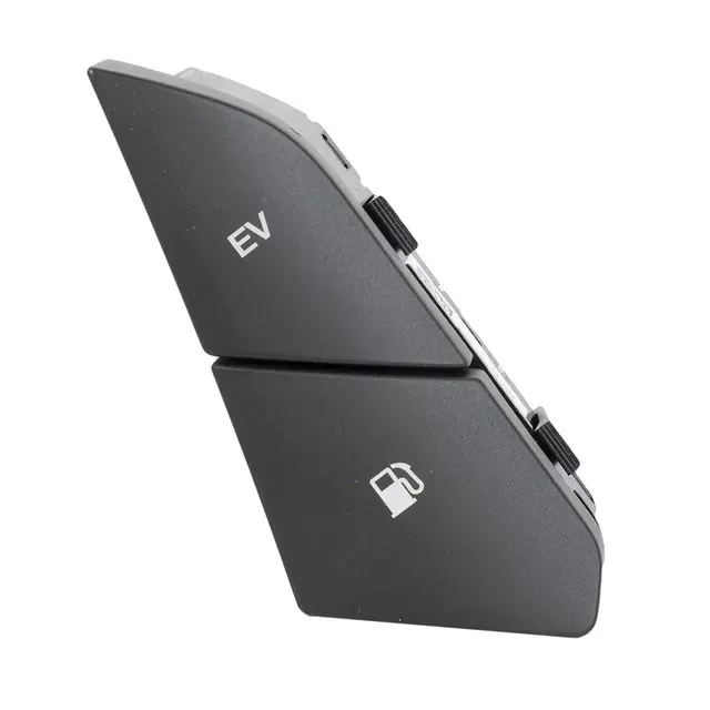 Switch Assembly - Ford (DG9Z-13D730-EA)