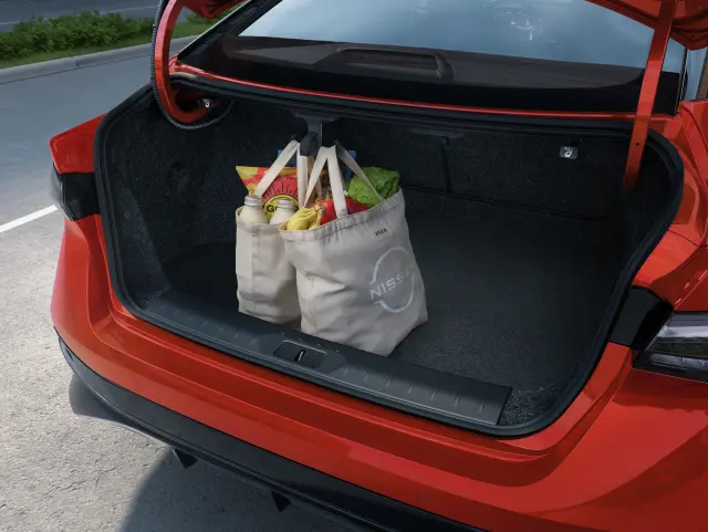 T99C26LB1A - Cargo Management: Shopping Bag Hooks for Nissan: Altima, Maxima, Sentra, Versa Image