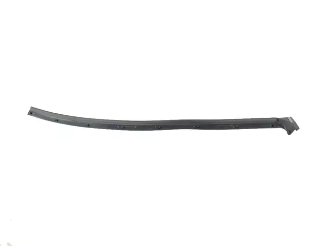 Front Door Opening Weatherstrip, Right - Mopar (68400038AA)