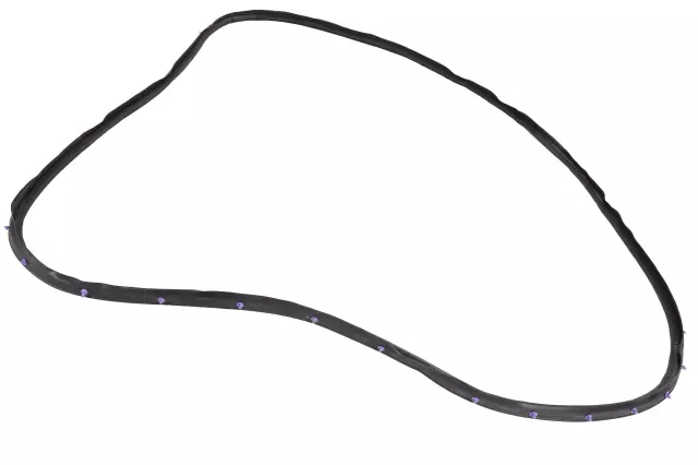 Door Weather-Strip - GM (42597588)