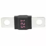 2S6Z14526HA - Electrical: Main Fuse for Ford Image