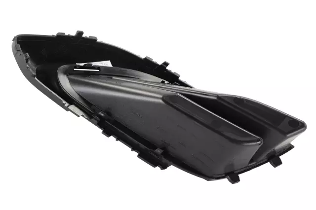 Molding - GM (42664203)